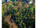 10 Kalenda  r   Orlicke   hory 2018 10 kopie