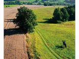 9 Kalenda  r   Orlicke   hory a Podorlicko 2016 9 kopie