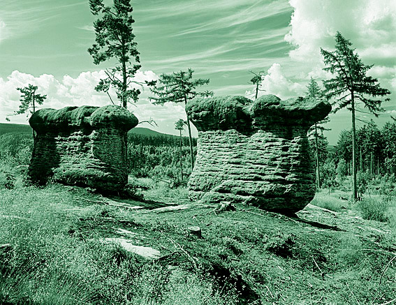 15. Broumovské a Polické stěny