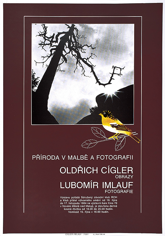 Nové Město nad Metují - 1984