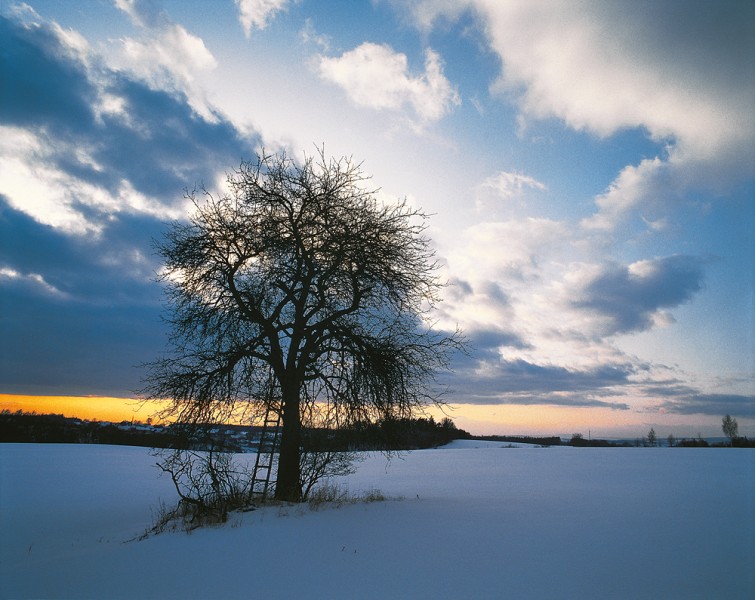 11_02_kopie-856-800-600-100