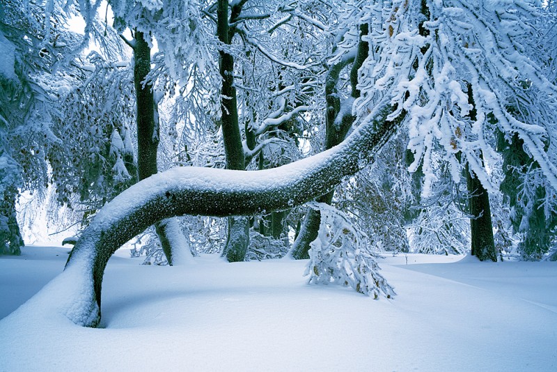 12_Bukacka_namrazy_8_kopie-842-800-600-100