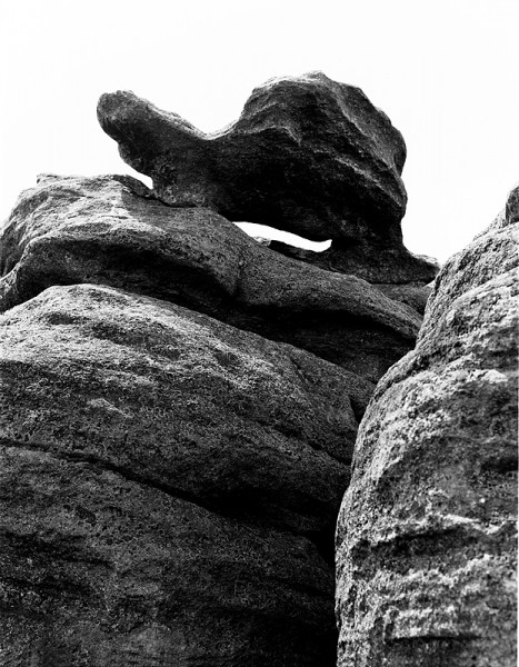 13_z__elva-962-800-600-100