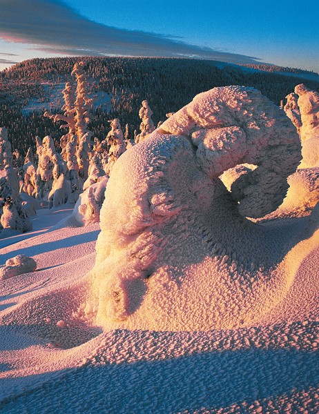 14_Slu__ne___A_3_kopie-844-800-600-100