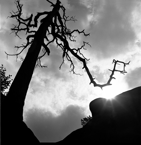 Černobílá fotografie - (výběr)