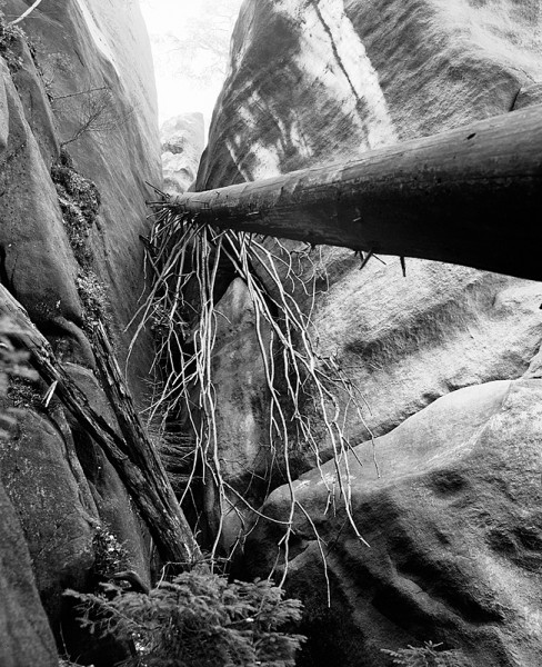 15_bis__-964-800-600-100