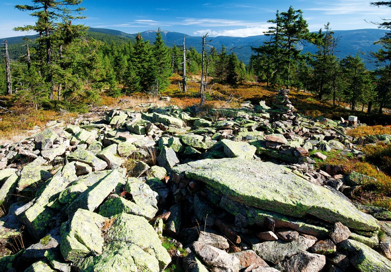 17_Kra__lic__.od_Klepa__c__e_kopie-865-800-600-100