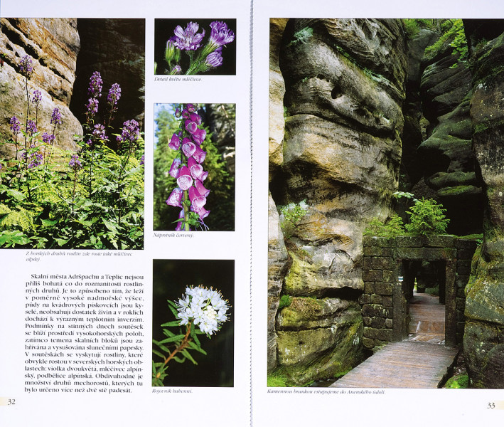 18_SKMB_vnitr___kopie_kopie-1078-800-600-100