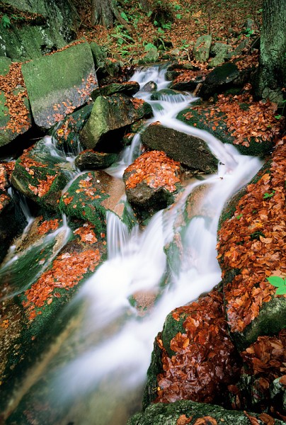 19_Kralicak_potok_2_kopie-867-800-600-100