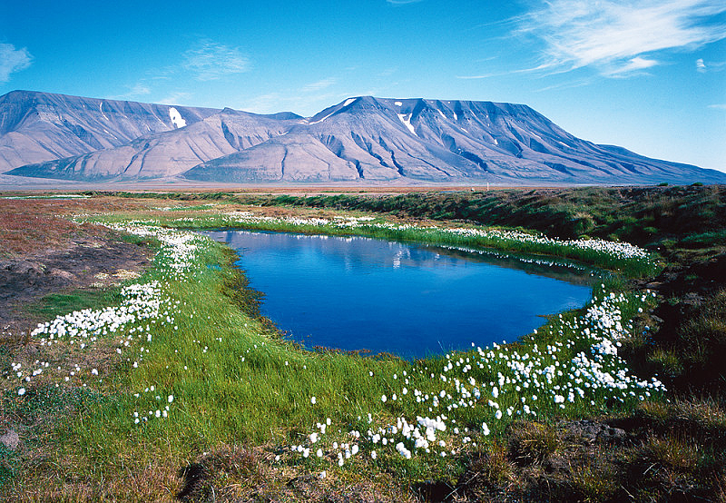 1_S__picberky_4_kopie-1413-800-600-100