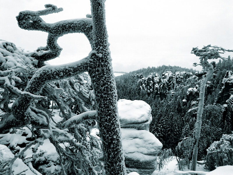 Příroda - (výběr)