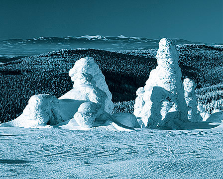 Orlické hory zimní