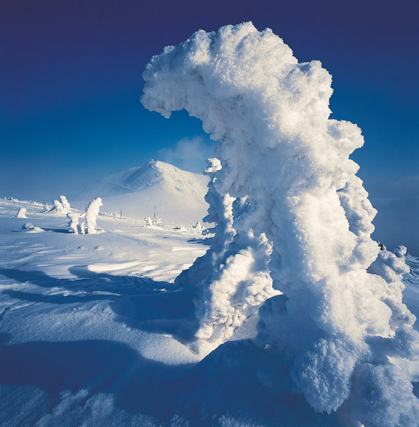 28_Sne__z__ka_kopie-1412-800-600-100