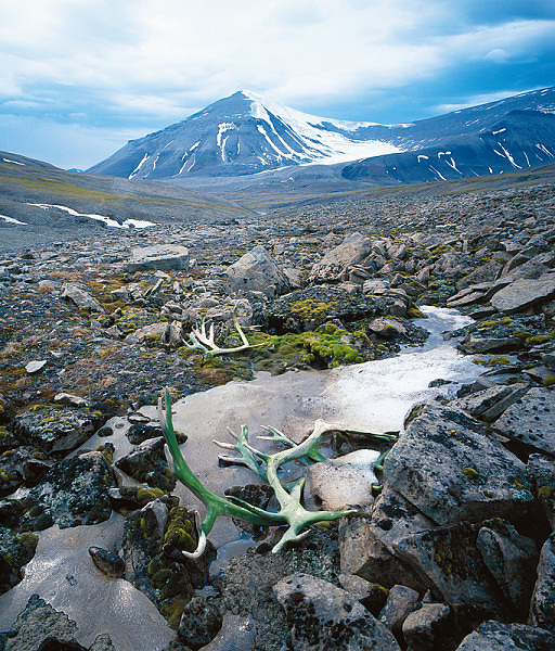 2_S__picberky_3_kopie-1414-800-600-100