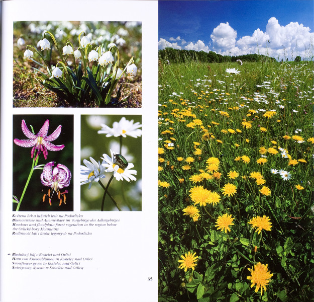 2_Souz_vnit_kopie-1071-800-600-100