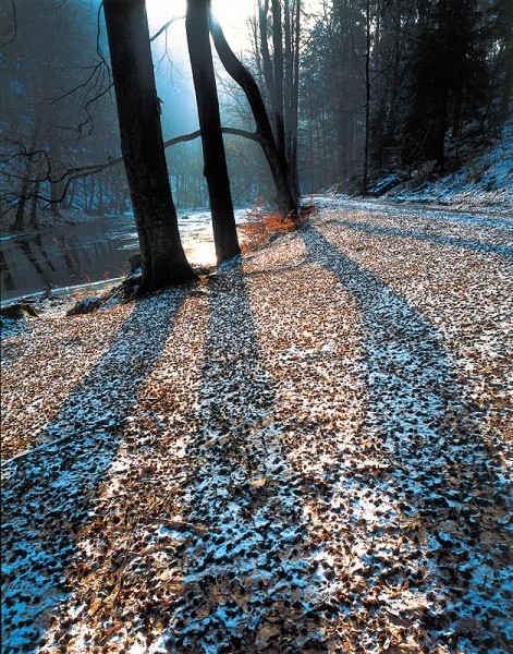 3_03_kopie-848-800-600-100