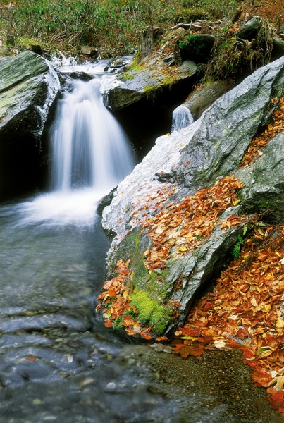 3_09_kopie-833-800-600-100