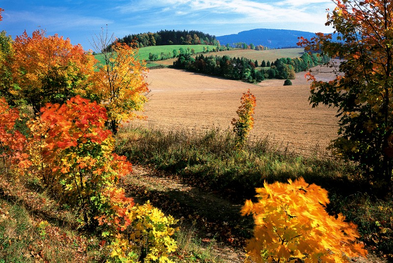 4_29_orlic_kopie-834-800-600-100