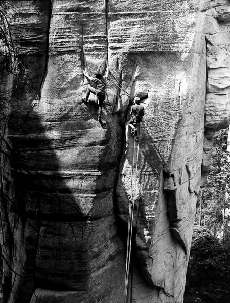 4_Zub_kopie-953-800-600-100