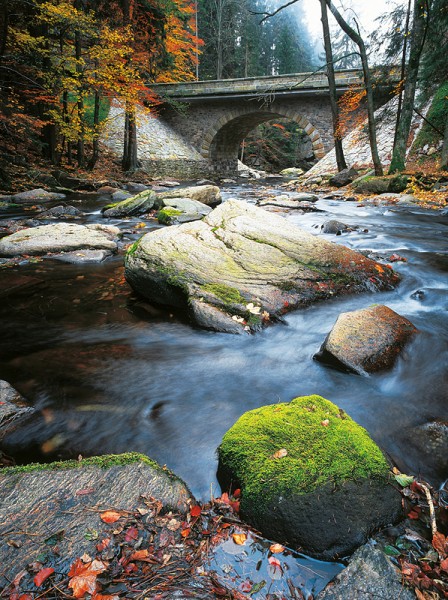 6_11_orl_2008_kopie-836-800-600-100