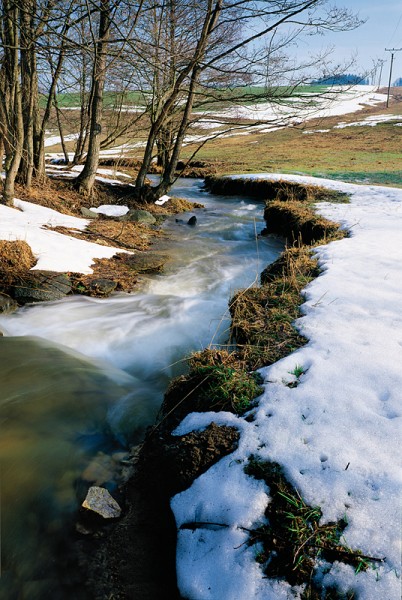 8_Potok_Tisce_u_Jablon_kopie-853-800-600-100