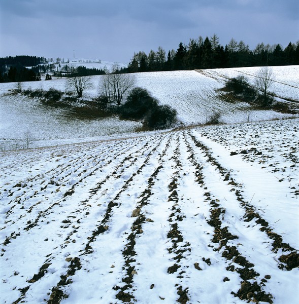 9_Zima_u_Sobkovic_pole_kopie-854-800-600-100