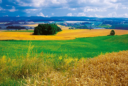 Krajina podhůří - (výběr)