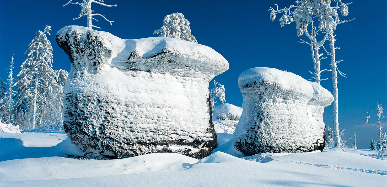 Skalní hřiby v Broumovských stěnách