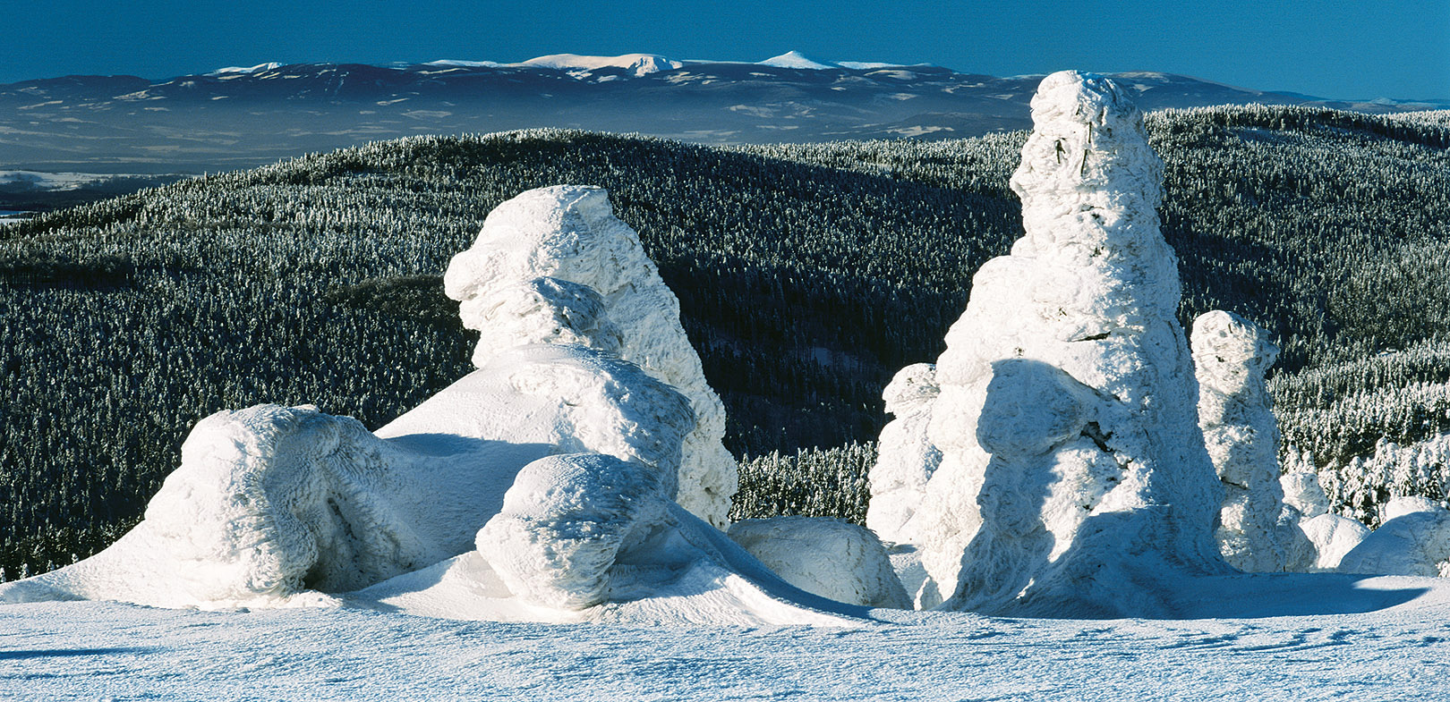 Z Orlických hor ke Krkonoším