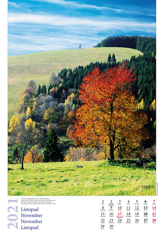 12-Kalendář OH 2021