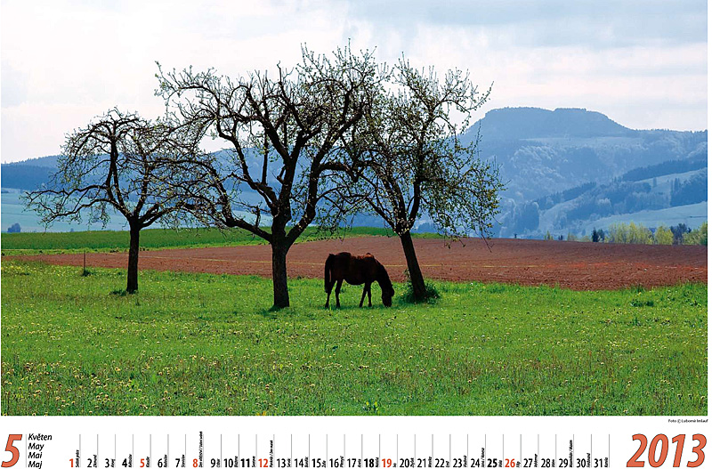 6-Kalendář 2013
