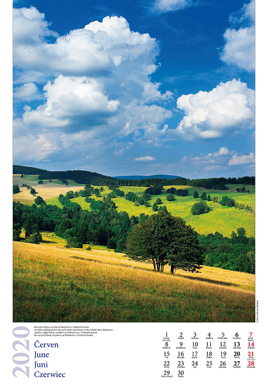 7-Kalendář OH 2020