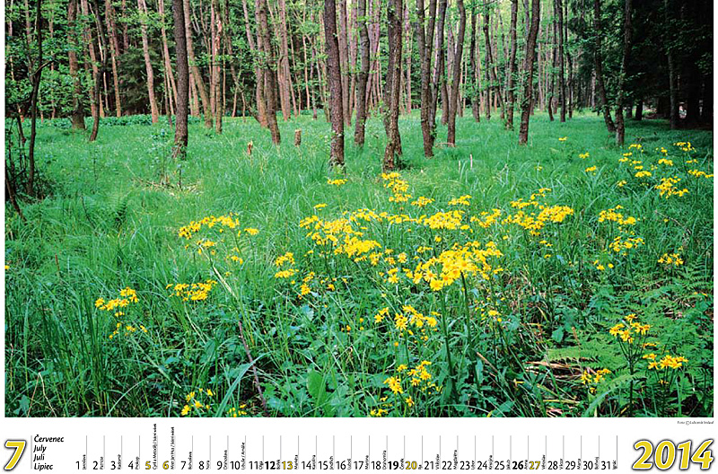 8-Kalendář 2014