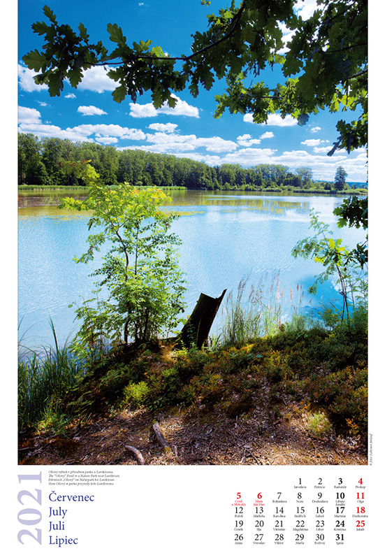 8-Kalendář OH 2021