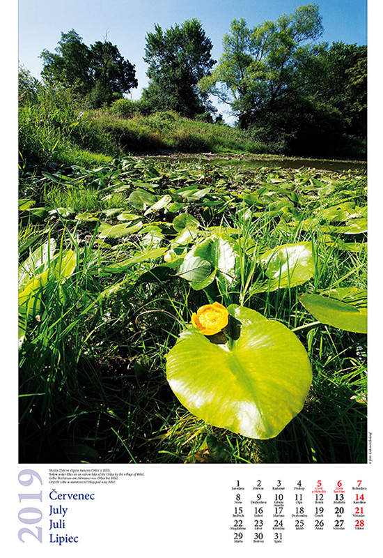 8-Kalendář Orlické hory a Podorlicko 2019-8