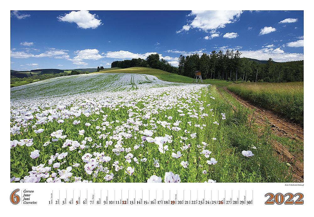 Kal. Náchodsko a Broumovsko 2022 - 7