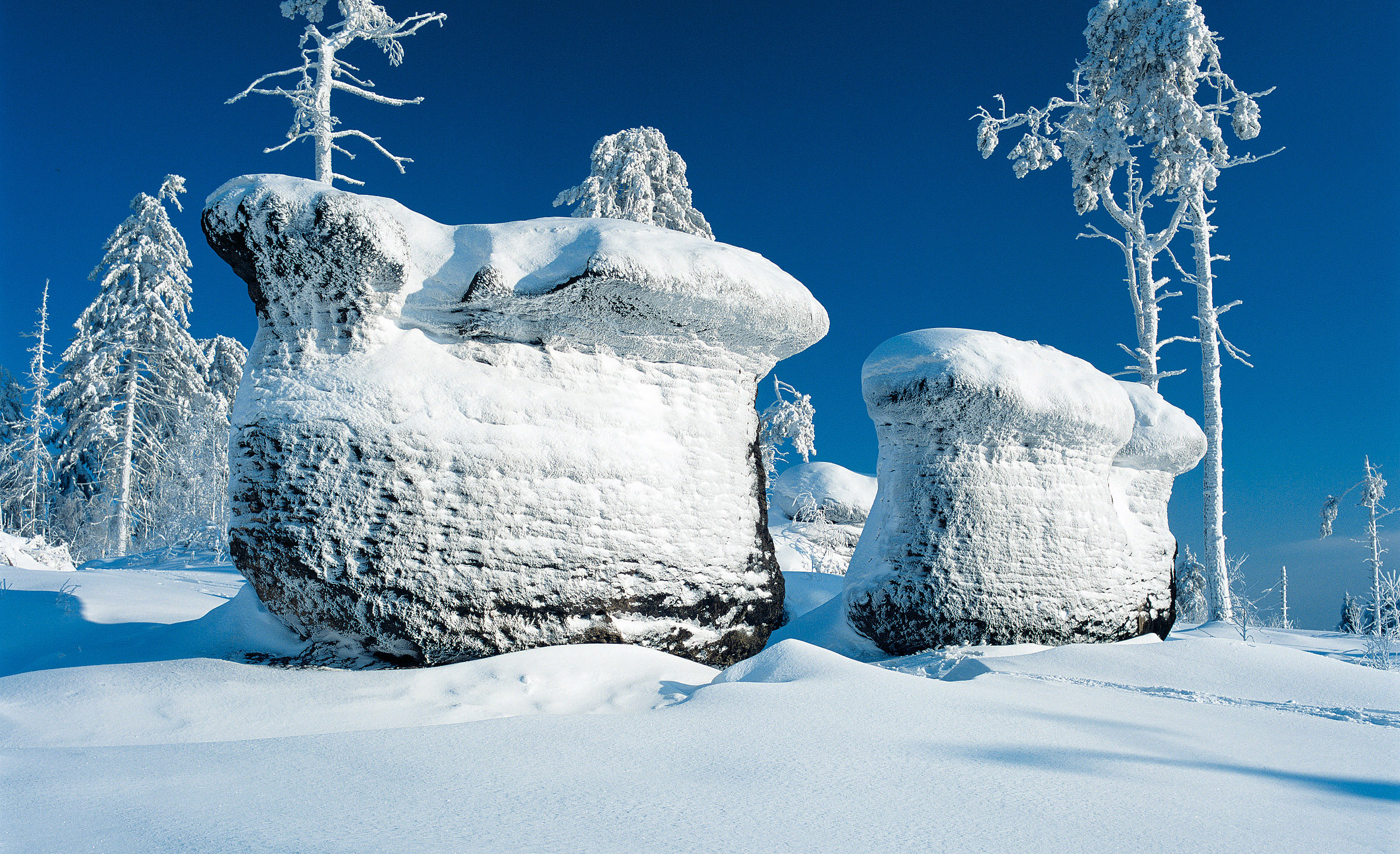 Skalní hřiby v Broumovských stěnách