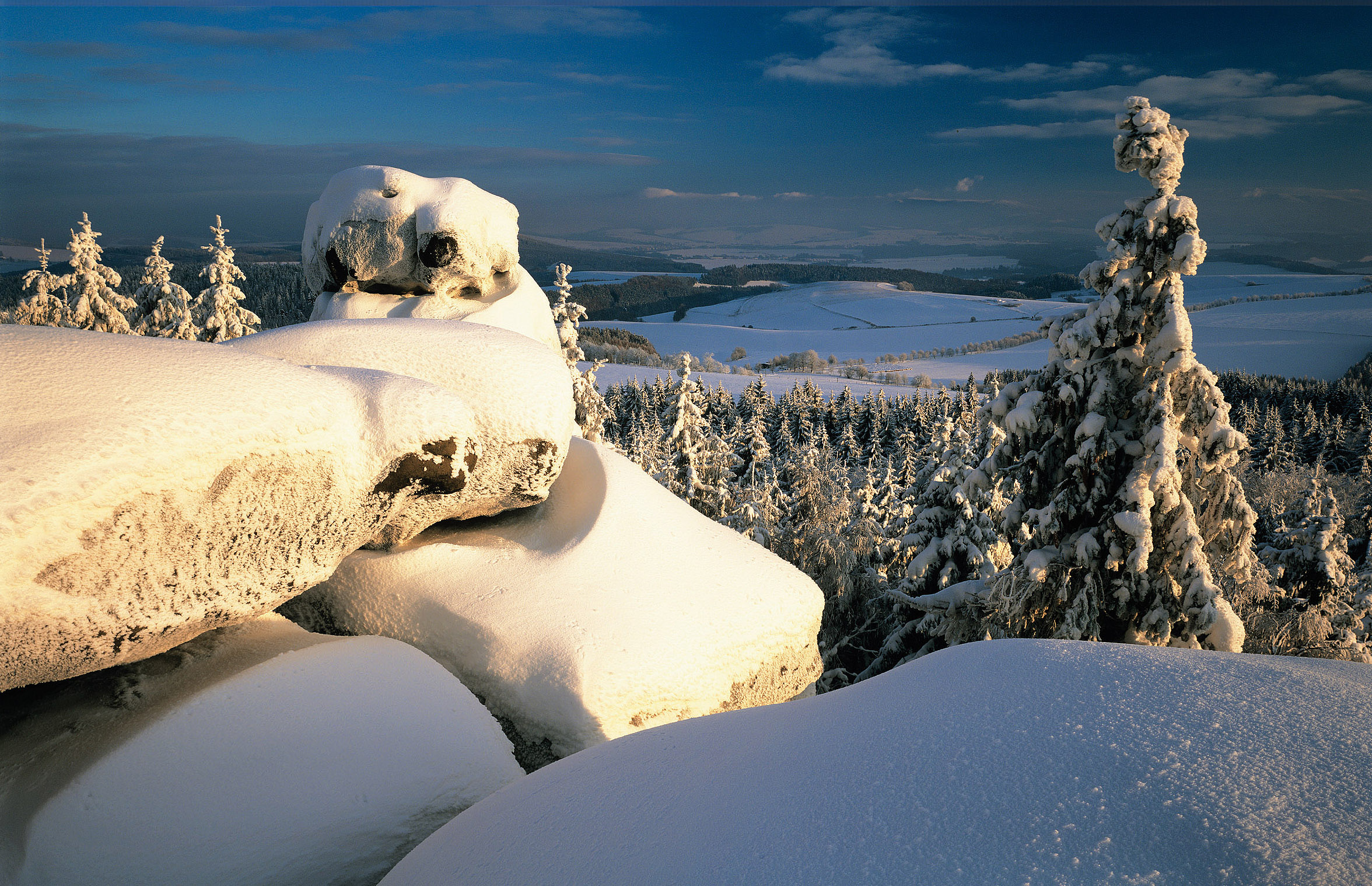 Vrch Čáp v Suchých skalách
