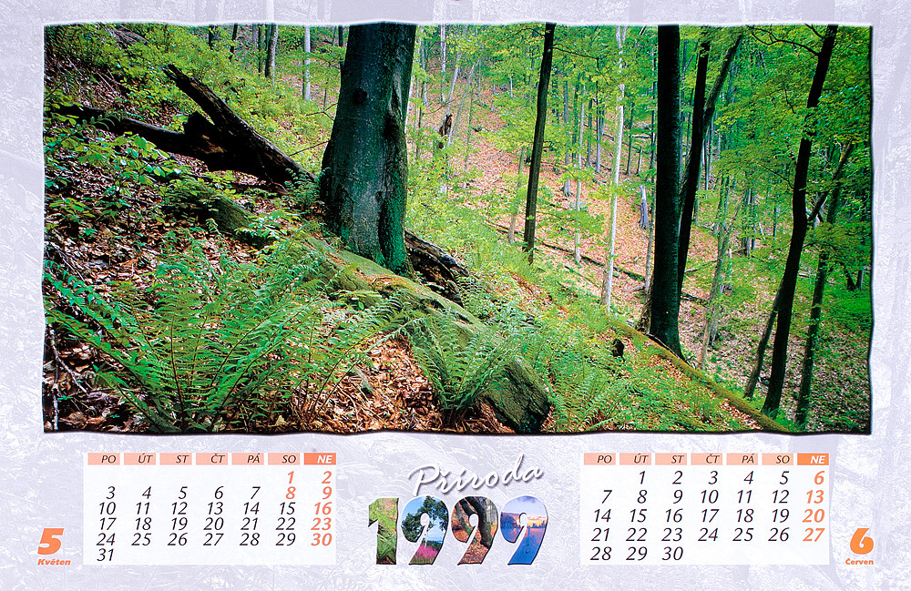 11_Pr__i__r_1999_kopie-1051-1100-800-100-c