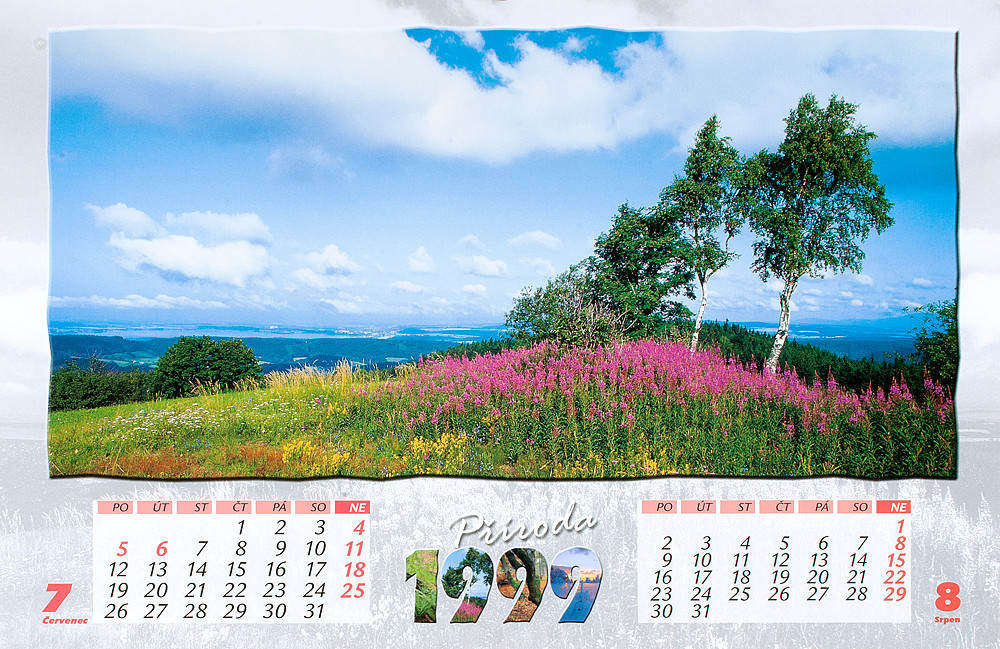 12_Pr__i__r_1999_kopie-1052-1100-800-100-c