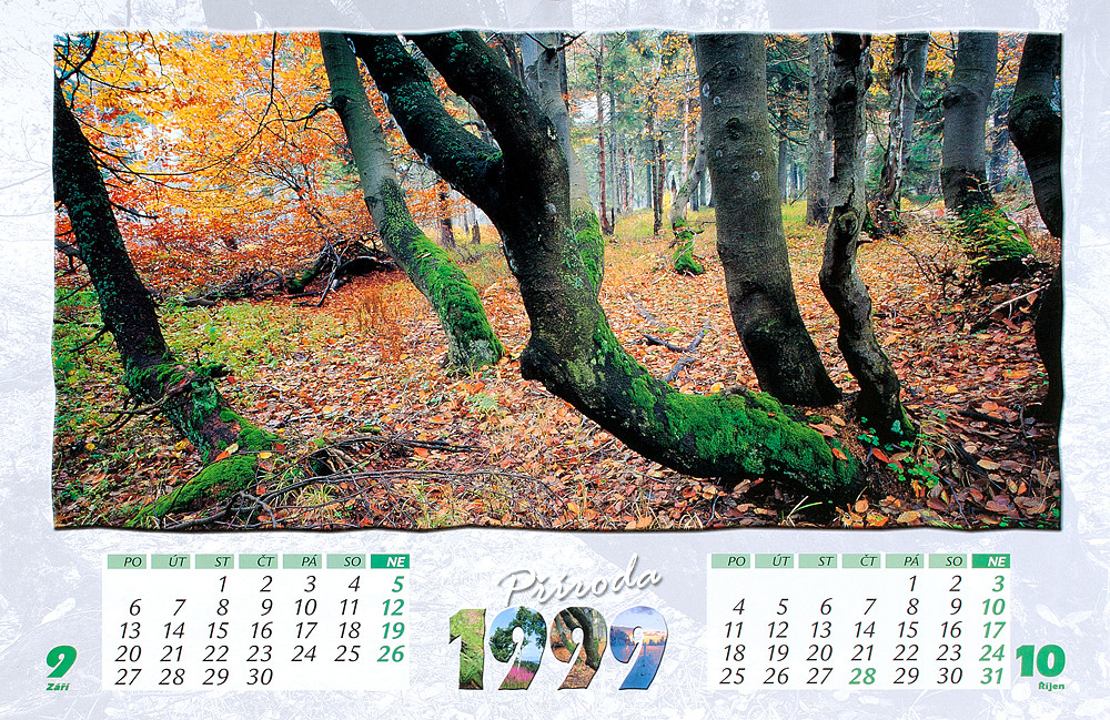 13_Pr__i__r_1999_kopie-1053-1100-800-100-c