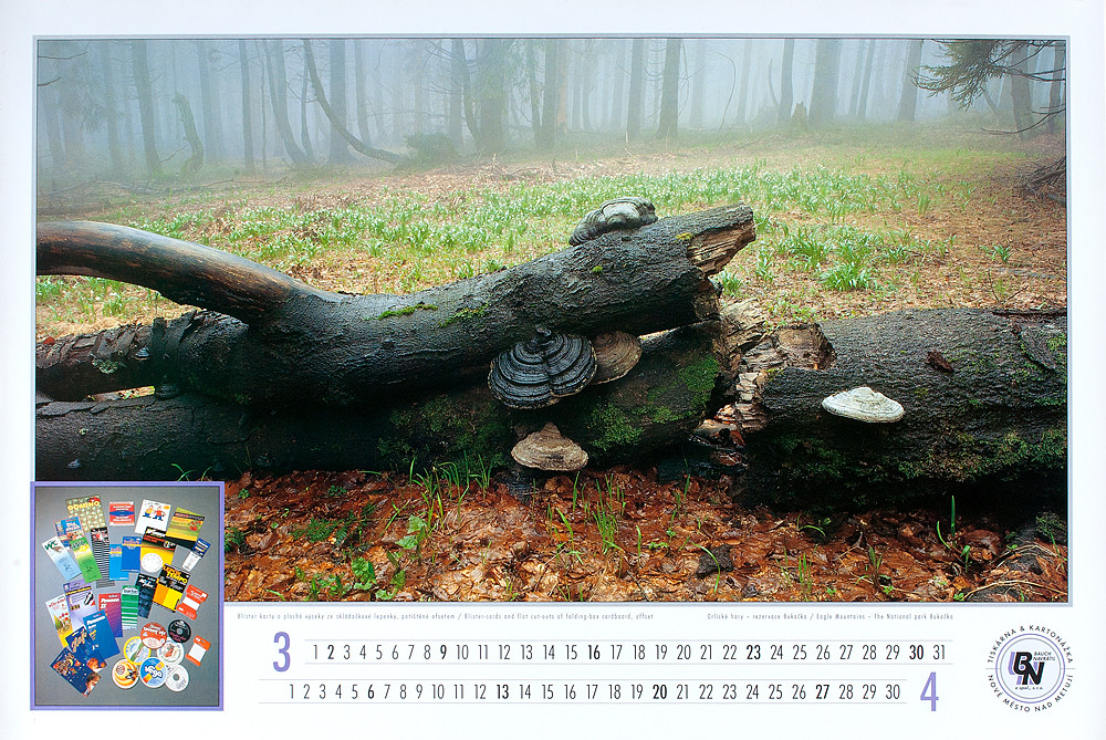 3_B_N_1997_kopie-1043-1100-800-100-c