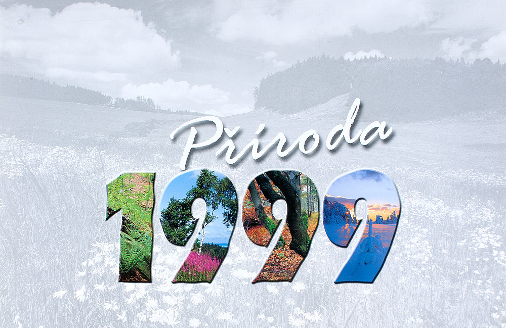 8_Pr__i__r_1999_kopie-1048-1100-800-100-c