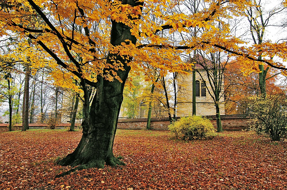 11_RK_park_zvonice_kopie-663-1100-800-100-c