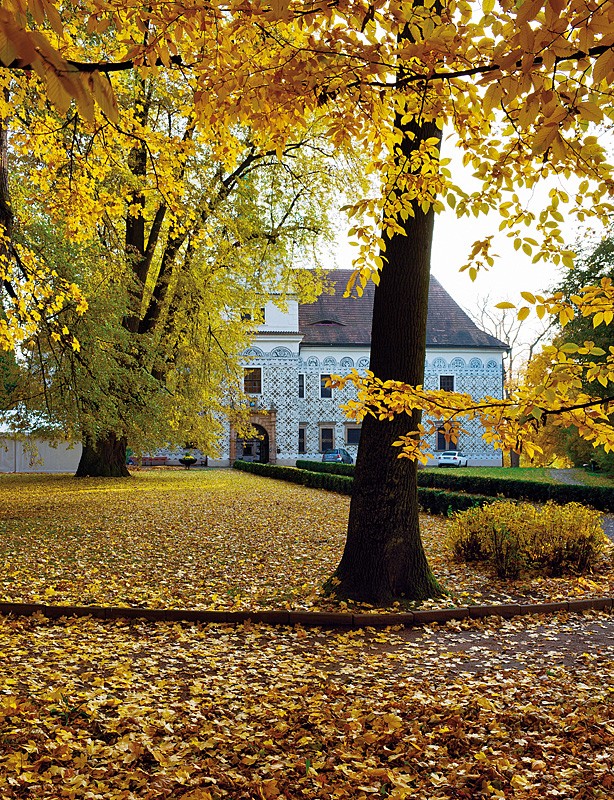 14_Doudleby_zamek-666-1100-800-100-c