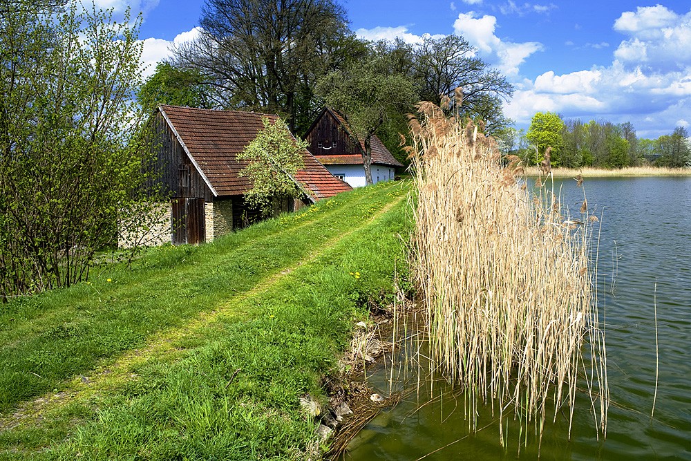 13_Mlyn_Zalsi_5_kopie-792-1100-800-100-c