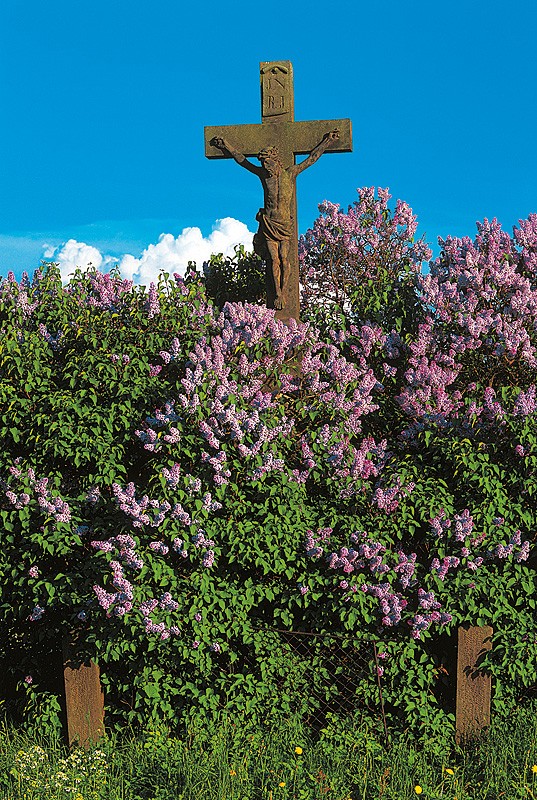 13_baroko_kopie-762-1100-800-100-c