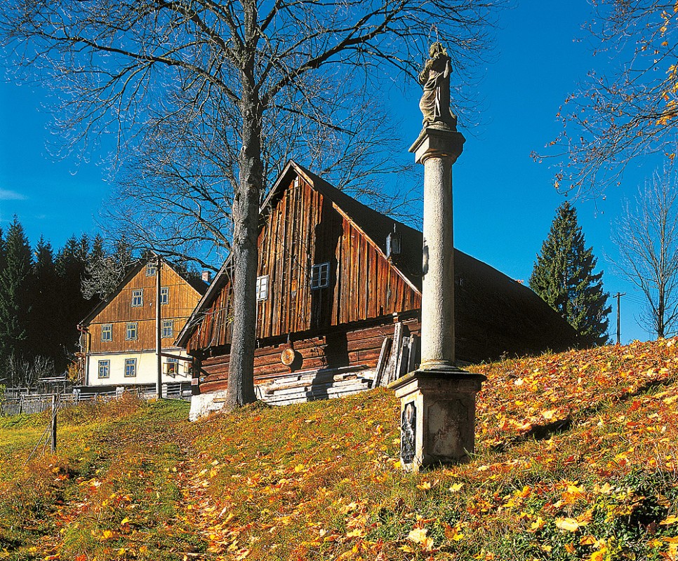 1_Za__lesi___kopie-779-1100-800-100-c