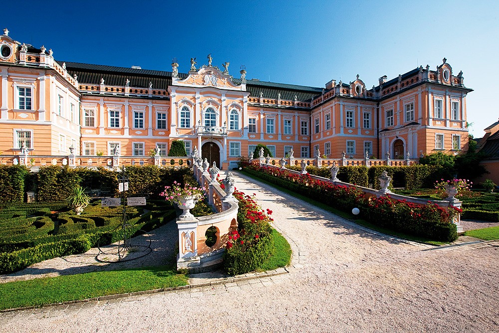 22_Nove_Hrady_3_kopie-740-1100-800-100-c