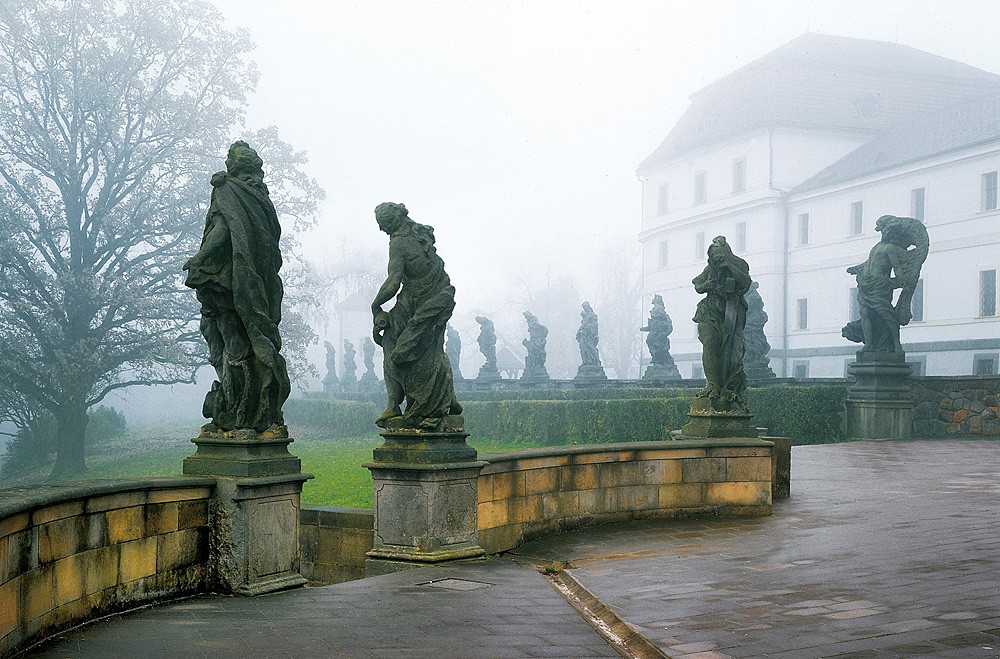 4_8_8_D_ret.strom_kopie-751-1100-800-100-c